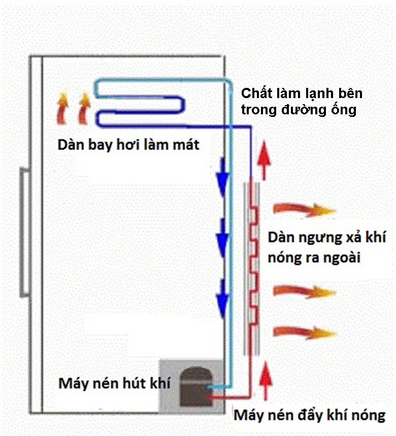 tủ lạnh - cấu tạo tủ lạnh