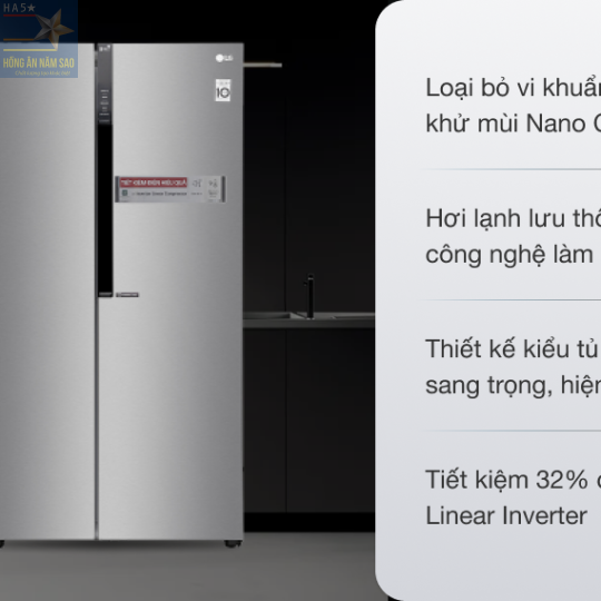 Tủ lạnh LG Inverter 613 lít GR-B247JDS